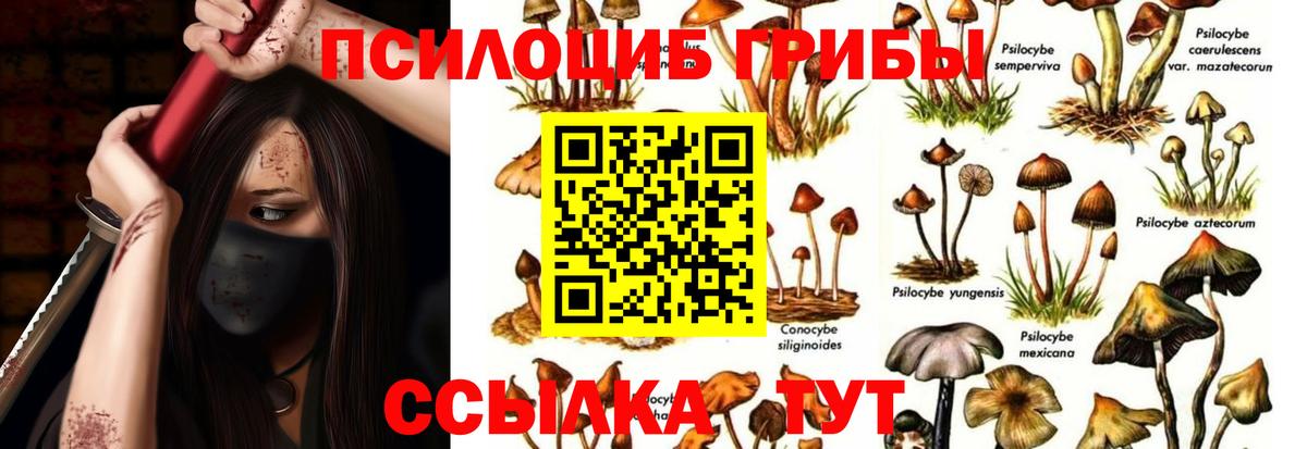 Галлюциногенные грибы мухоморы Ярославль